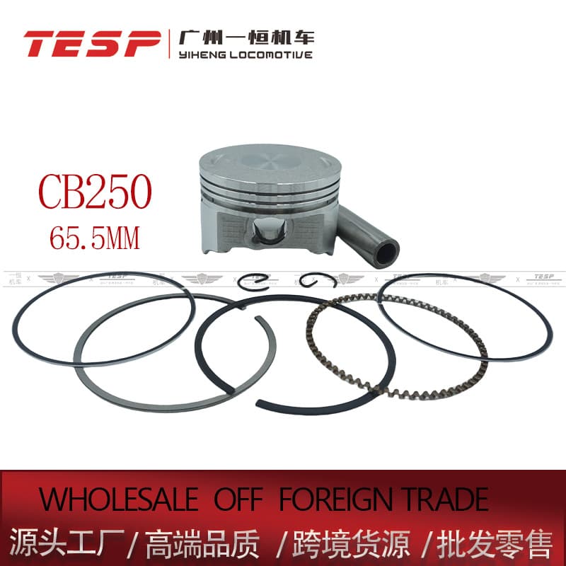 CB250 65.5MM Piston and Piston Ring Assembly Cylinder for Honda Zongshen Loncin Motorcycle Air-Cooled