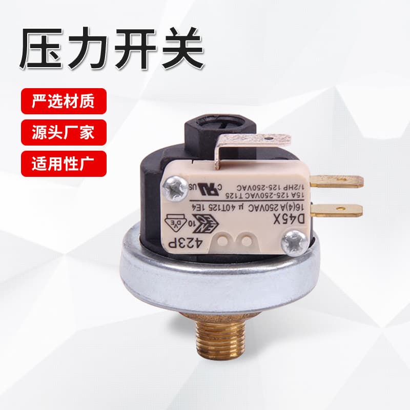 Adjustable steam pressure switch for steam iron cleaner