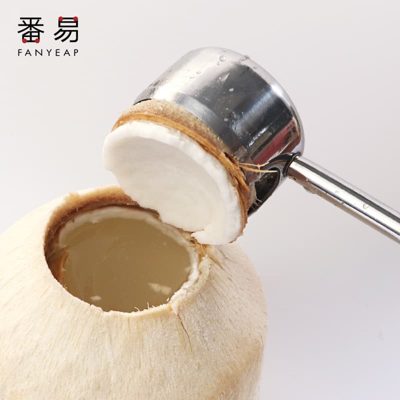 ✅ Wholesale / Shell Opener A1V - Traditional Coconut Knife for Opening Hard Shells and Lids