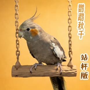 Parrot Toy Bird Supplies Swing Cloud Ladder Climbing Ladder for Budgie Lovebird Cockatiel Nail Trimming Perch Chew Bird Cage Accessories