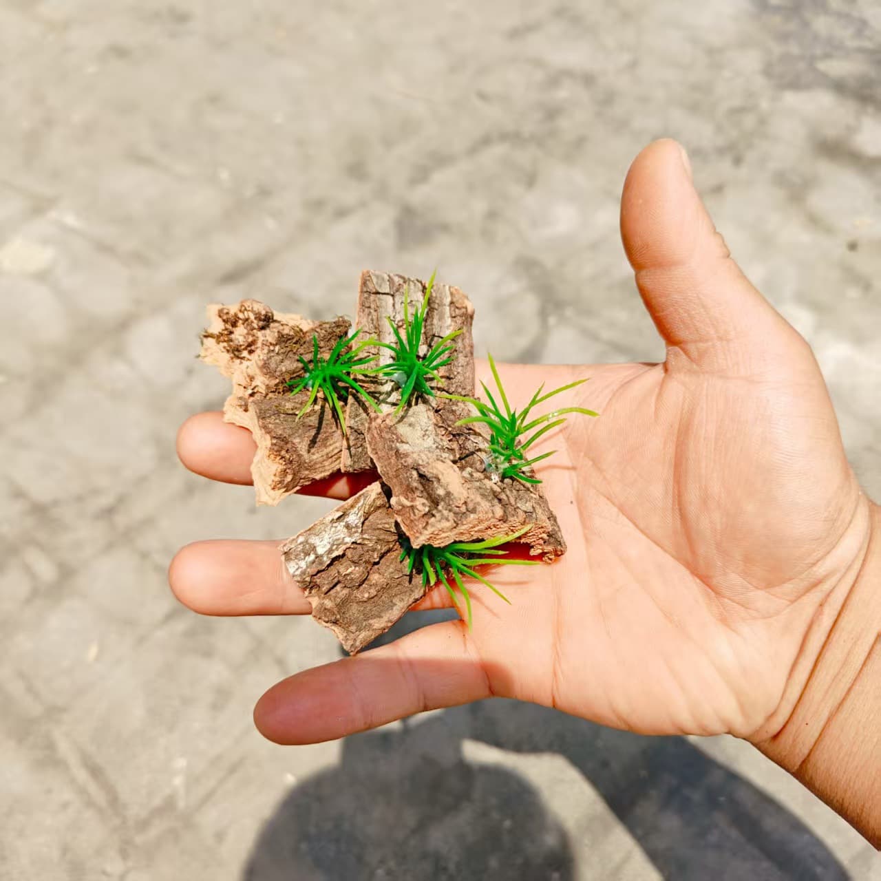 Reptile jumping spider pet scorpion bird spider avoid landscaping plant micro landscape acrylic box champagne bark plus grass