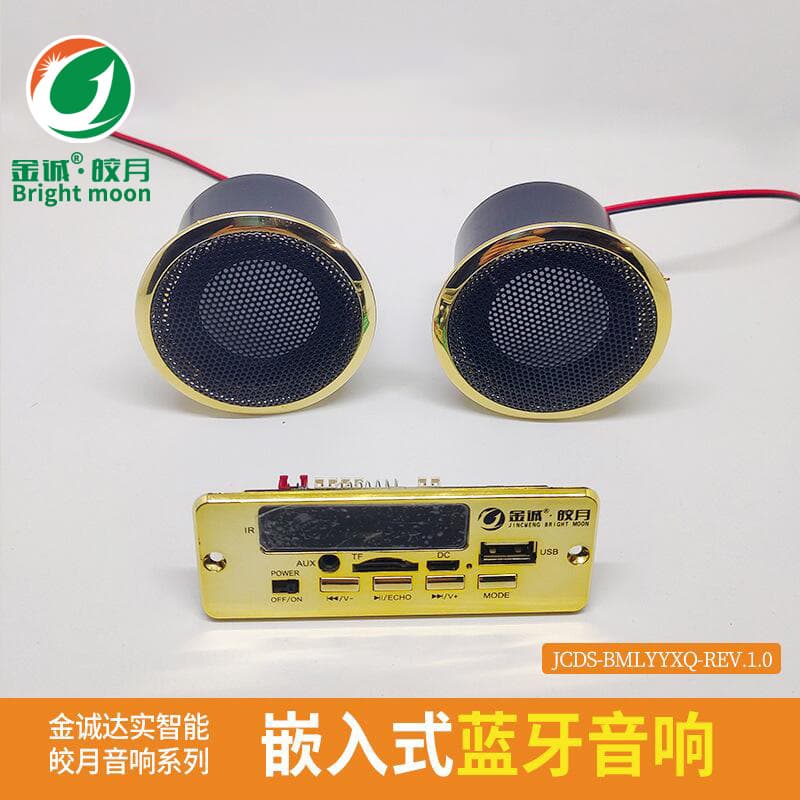 Embedded Bluetooth Speaker with Card Slot and USB, Small Speaker System with Left and Right Channels, Bluetooth 5.0 New Model