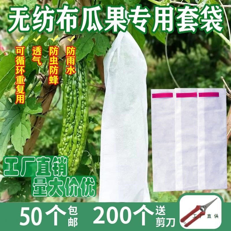 Non-woven fabric bags for bitter gourd, loofah, and cucumber; insect-proof bags for honeydew melon, cucumber, and bee/fruit fly protection.