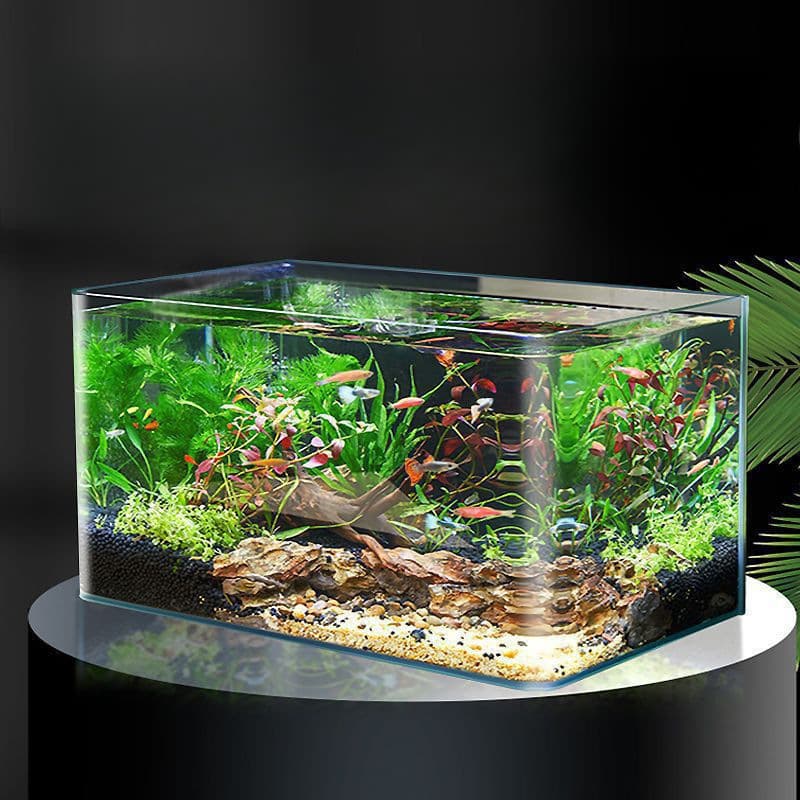 Curved Glass Fish Tank Small Desktop Aquarium Rectangle Eco Tank