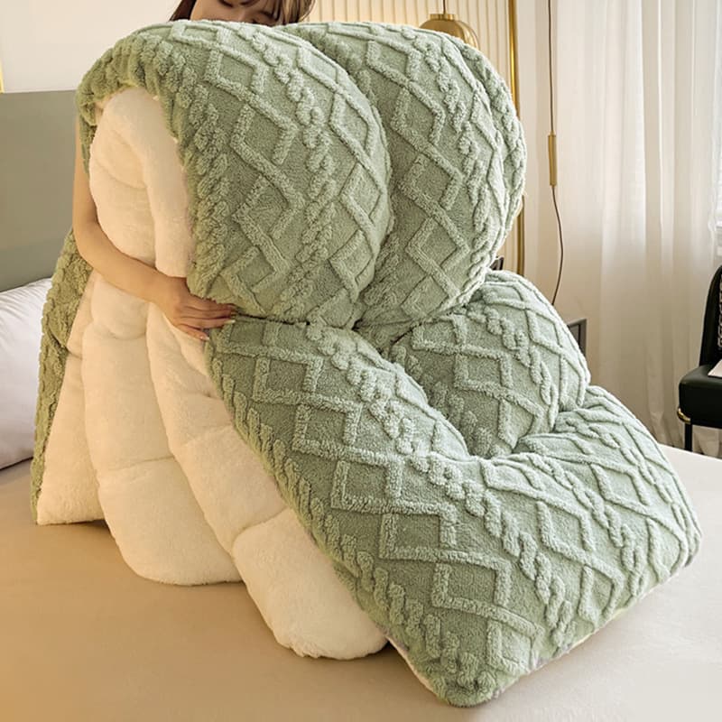 Double-sided velvet quilt thickened warm taffeta winter quilt lamb velvet quilt single and double student dormitory milk velvet quilt core