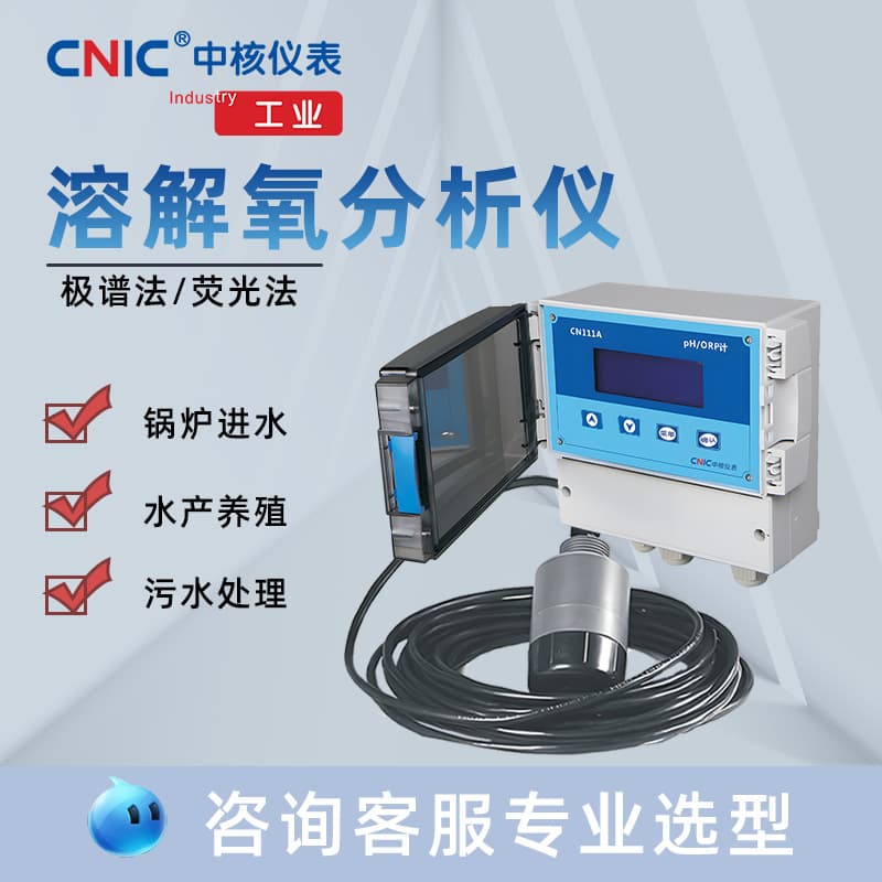 Industrial Dissolved Oxygen Detector, Membrane/Fluorescence Method DO Monitor, Boiler Inlet, Anaerobic Tank DO Meter Manufacturer