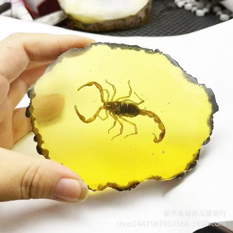 Amber Honey Wax Raw Stone, Insect Amber Real Insect Specimen, Craft Butterfly Living Room Decoration, Insect Amber Dragonfly, Scorpion, Golden Cicada