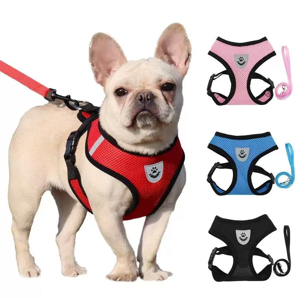 Reflective Pet Vest Set with Leash, Mesh, Breathable and Reflective