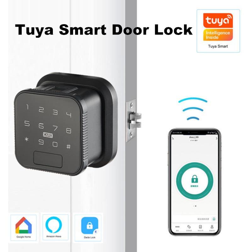 Tuya WiFi Spherical Indoor Smart Door Lock Fingerprint Password Smart Lock Apartment Dormitory Swipe Card Ball Type