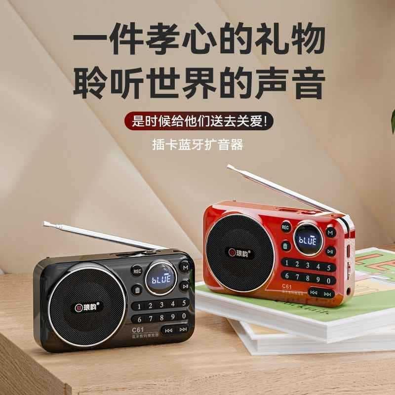 Langyun C61 Bluetooth USB Player Portable Outdoor Speaker for Seniors with Radio and Opera Player