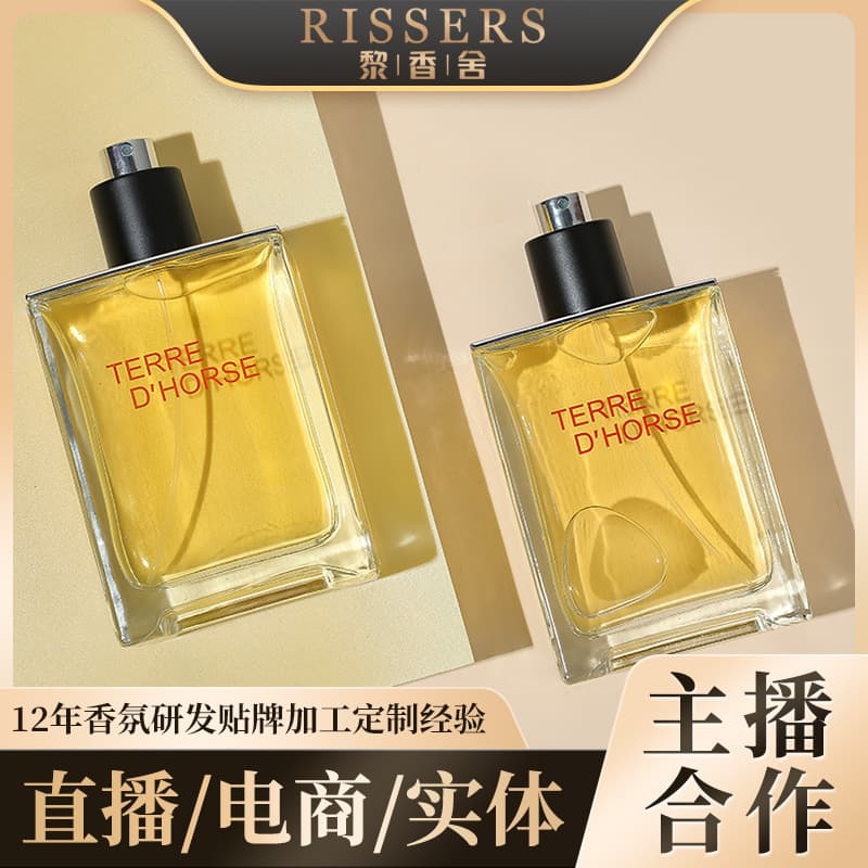 RISSERS Terre Men's Perfume 100ML Light Fragrance Long-Lasting Woody Cologne