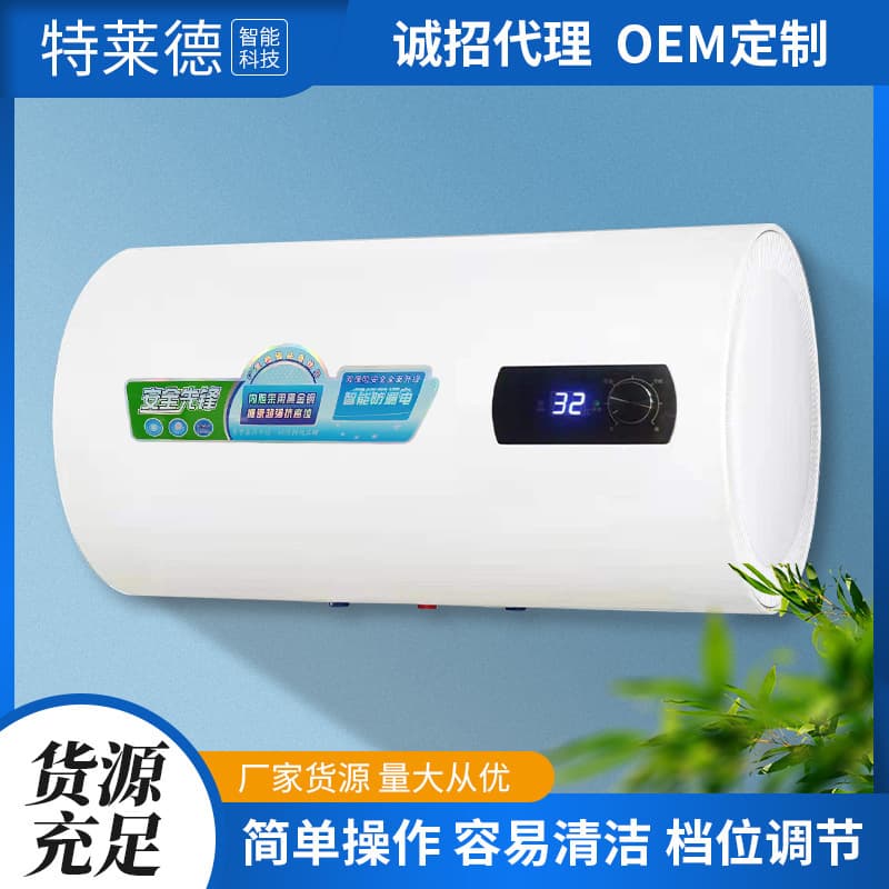 Wholesale Wall-mounted Constant Temperature Storage Electric Water Heater, Fast Heating for Home, Rental Apartments, Inverter Energy Saving Water Heater