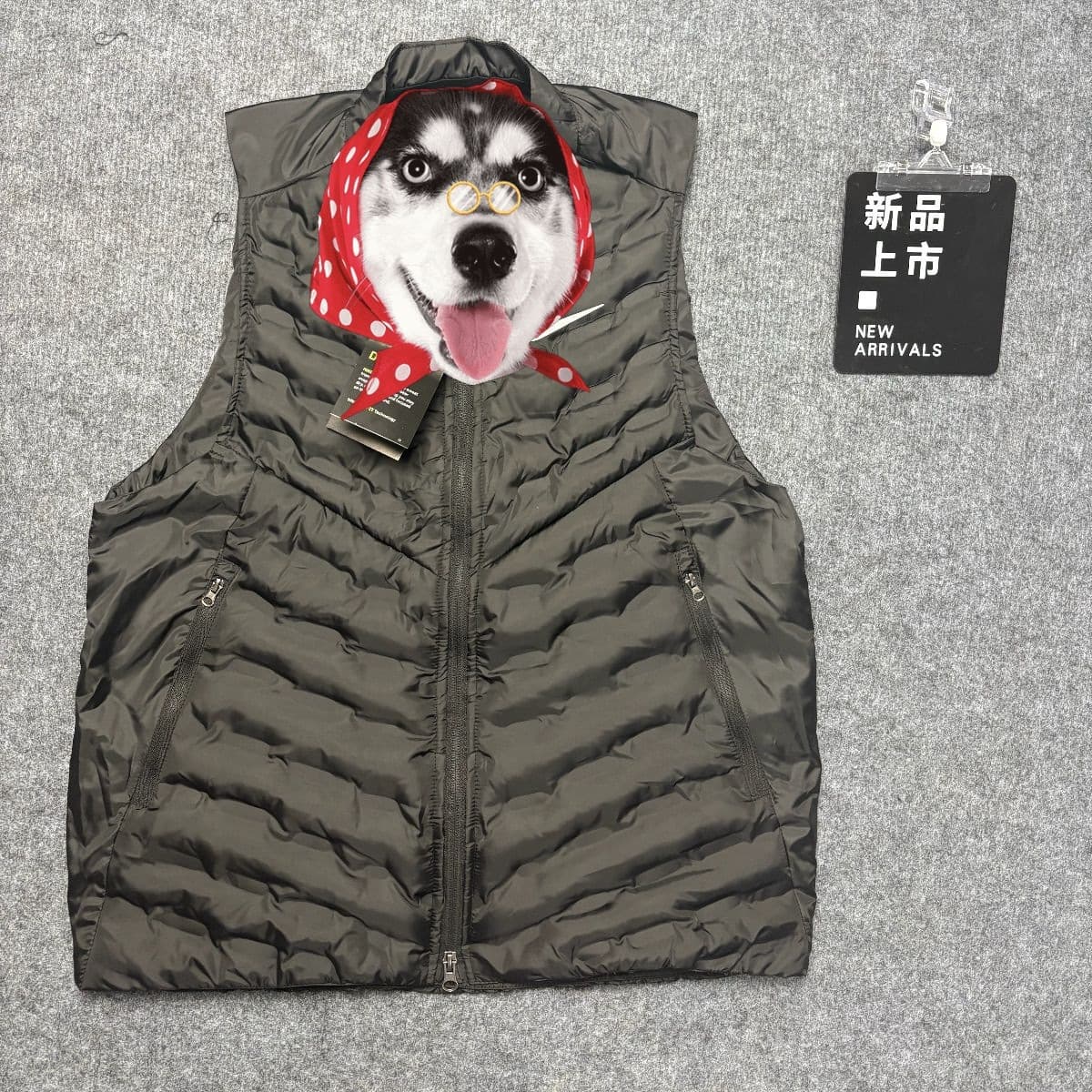 2025 Autumn/Winter New Style Down Cotton Sport Casual Vest Running Lightweight Warm Reflective Vest Unisex Versatile