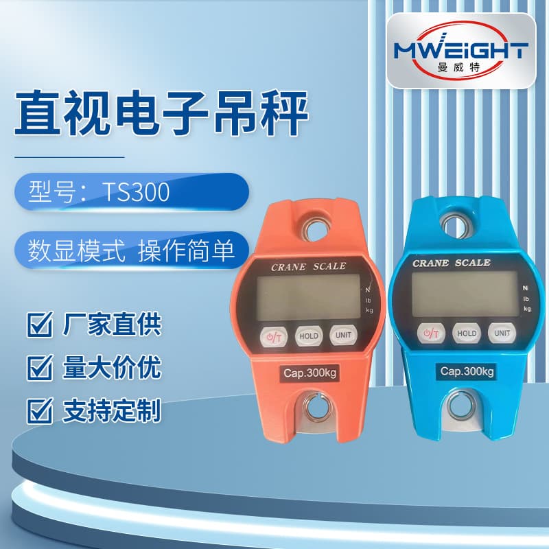 Manufacturer supplies TS300 handheld direct-view electronic crane scales, wholesale direct-view electronic hook scales.