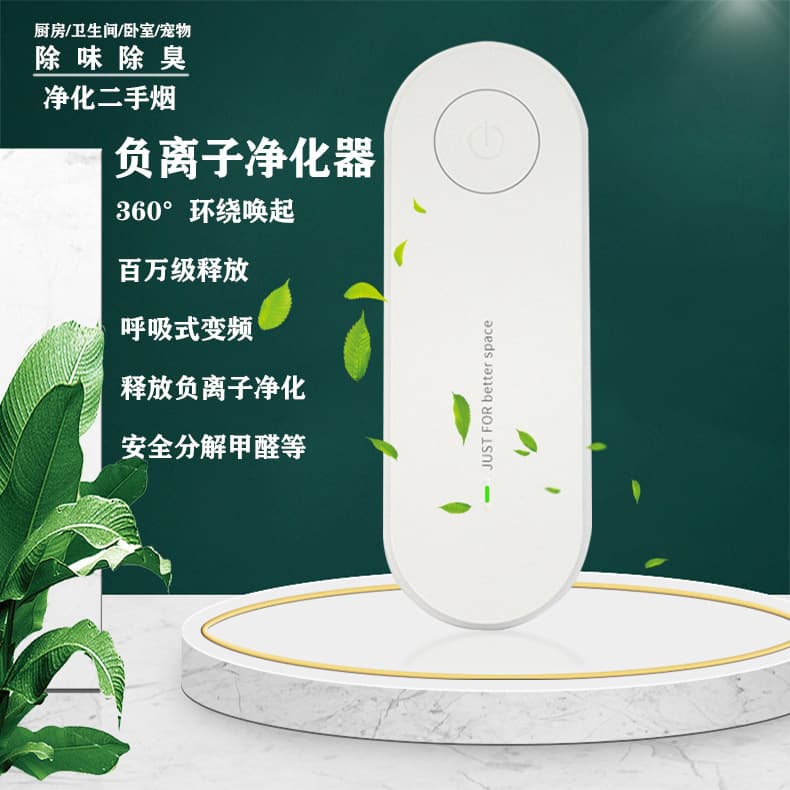Negative Ion Air Purifier for Amazon Small, No-Consumable Secondhand Smoke PM 2.5 Toilet and Kitchen Room Purifier