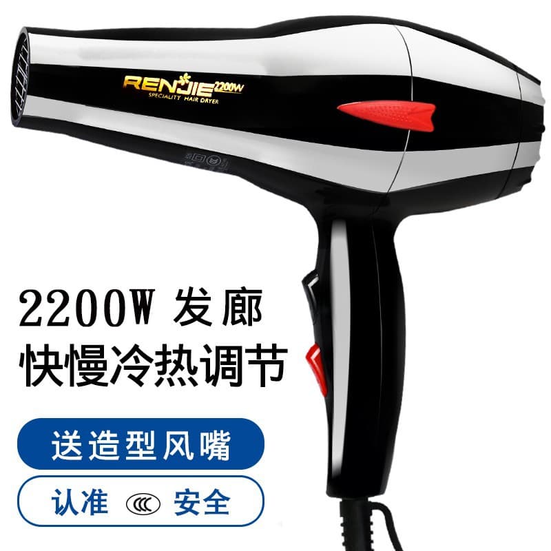Renjie Hair Salon Hair Dryer 2200W High Power Professional Cold and Hot Air RCE826 Blow Dryer