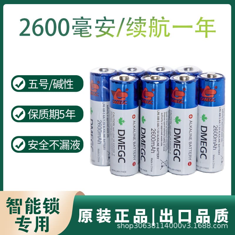 DMEGC AA Battery for Fingerprint Lock Smart Lock Yuwell Blood Pressure Monitor Original Battery High Capacity