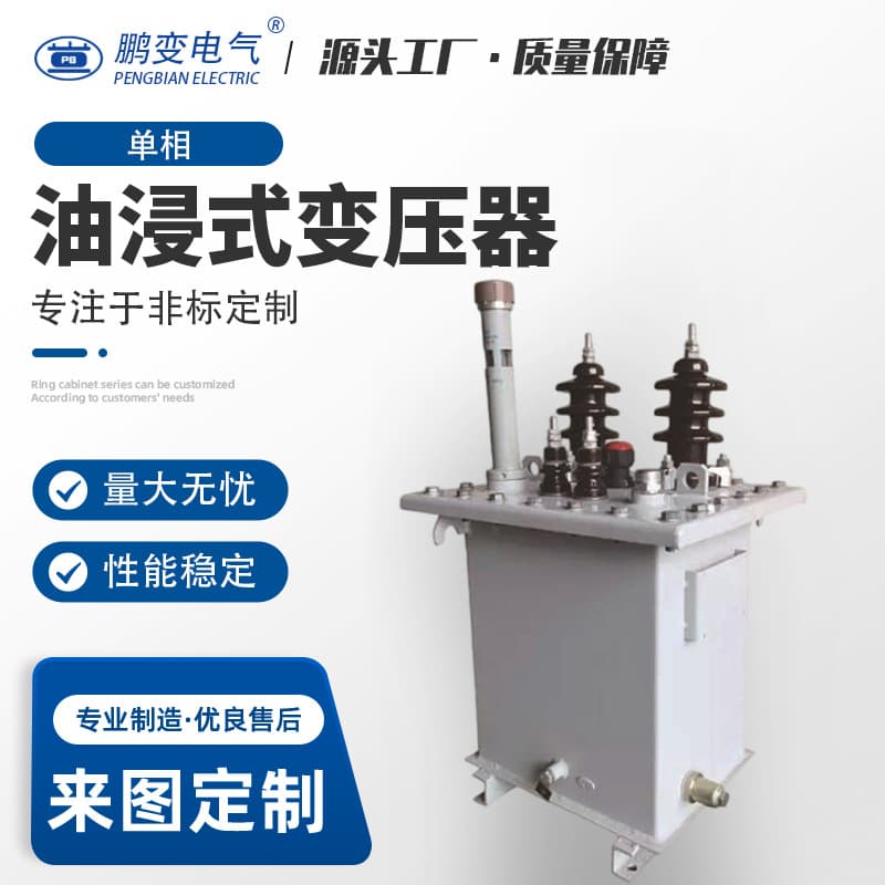 Pengbian Oil-Immersed Transformer Capacity 25KVA Single-Phase Transformer Street Light Export Distribution High Voltage
