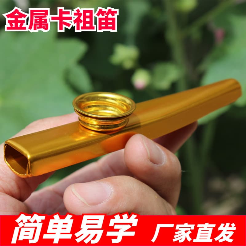Metal Kazoo Orff Percussion Instrument Kindergarten Early Education Music Beginner Kazoo Flute Set Flute
