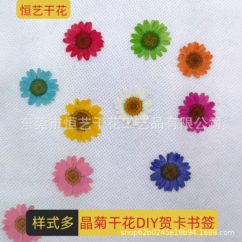 Crystal Chrysanthemum Pressed Dried Flowers DIY Greeting Card Bookmark Epoxy Resin Jewelry Accessories Candle Making Materials Pressed Dried Leaves Real Flowers