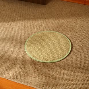 Pet Floor Mat Dog Pad Tear-Resistant Anti-Slip All-Season Cat Scratch Resistant Carpet Dog Cage Dog Bed Cat