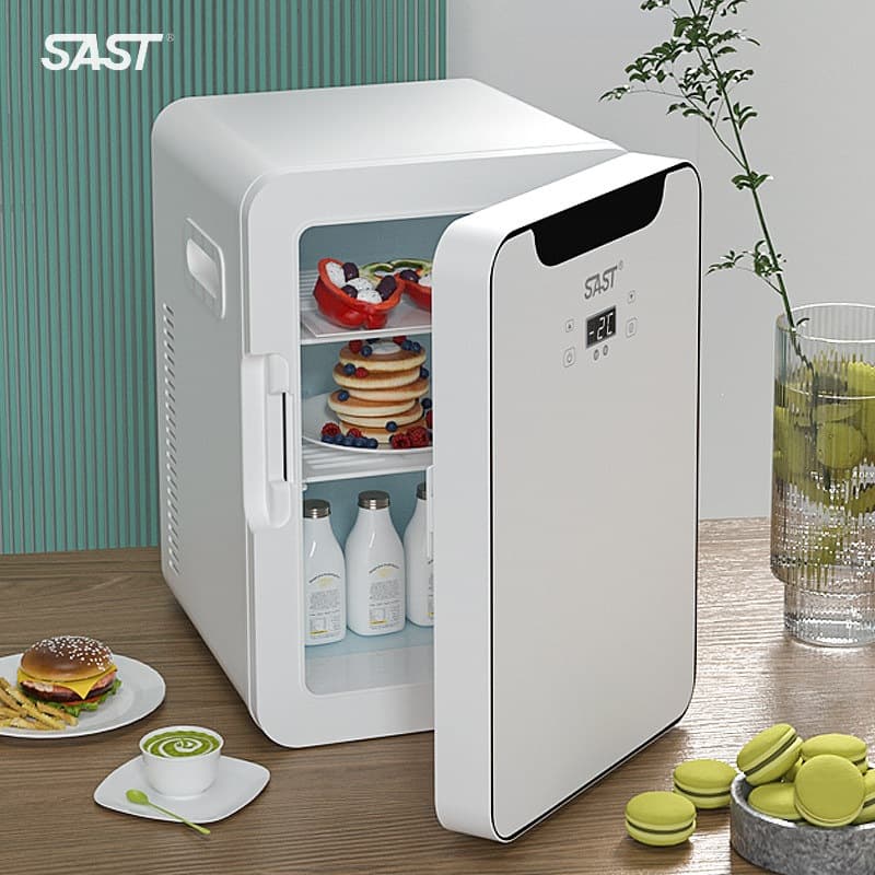 SAST8L Mini Car and Home Dual-Use Refrigerator, Dormitory Student Cooling Single Small Fridge