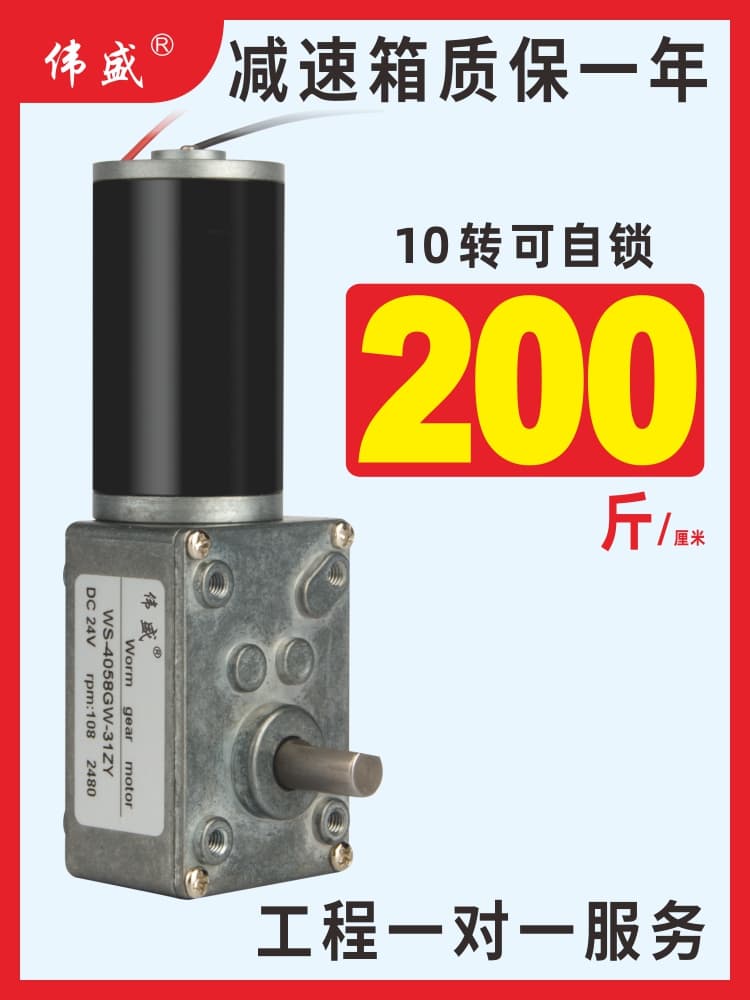 Worm Gear DC Reduction Motor 12V 24V High Torque Low Speed Speed Control Motor Micro Forward and Reverse Slow Self-Locking