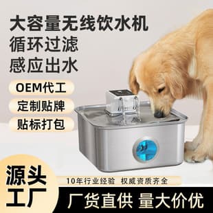 Stainless Steel Pet Water Fountain, Cross-Border Cat Water Fountain with Flowing Water, Home Water Dispenser, Amazon Hot New Product