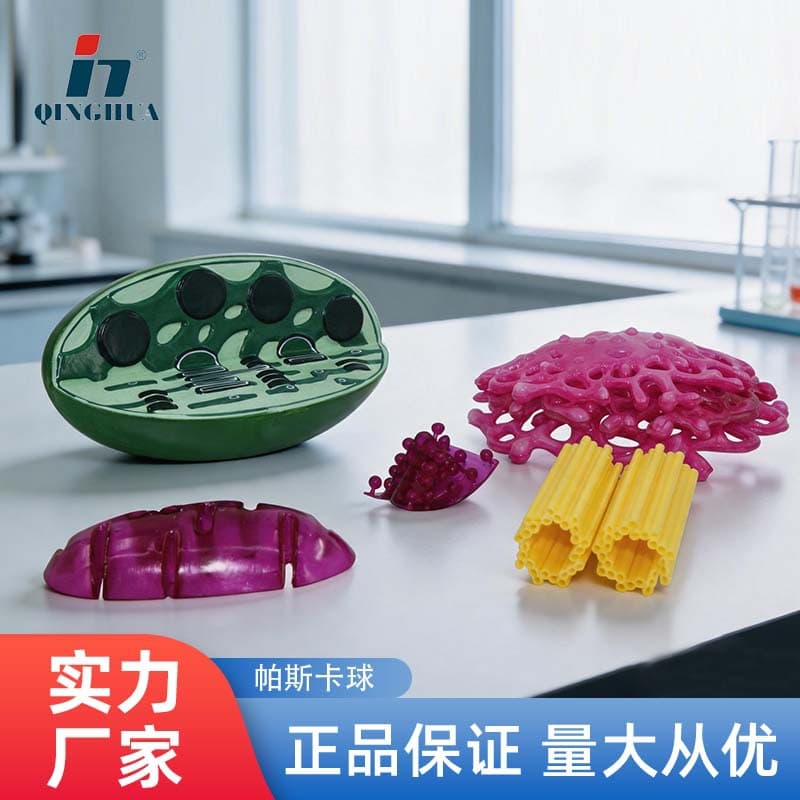 Qinghua chloroplast model plant microstructure organelle junior high school biomedical teaching model instrument