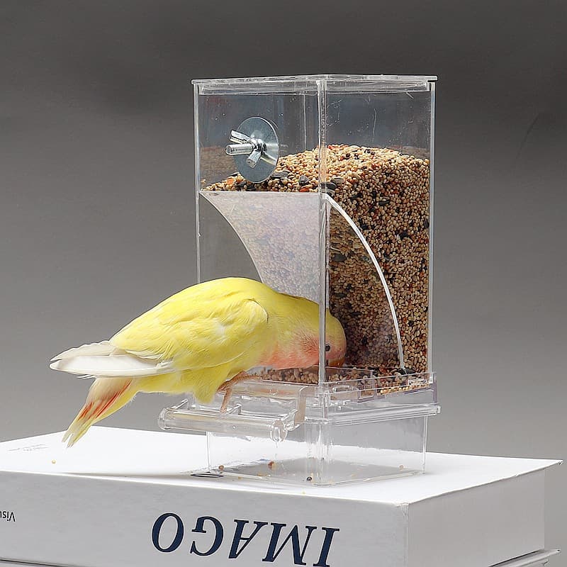Parrot Bird Feeder Anti-Splash Automatic Dispenser, Hanging Bird Feeder for Budgie, Lovebird, Cockatiel