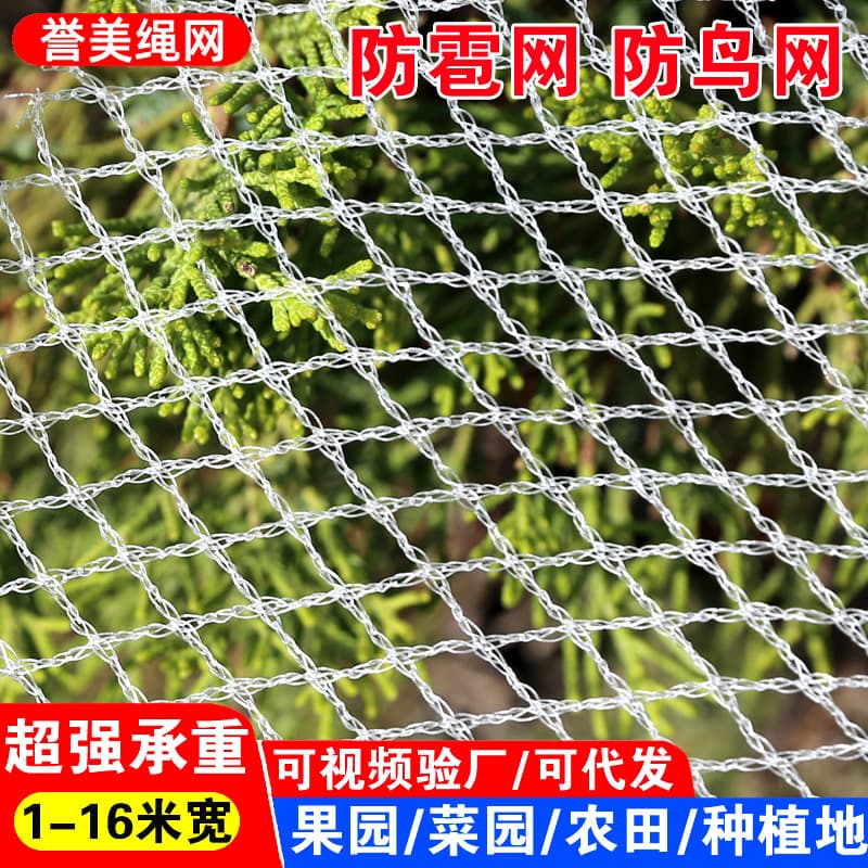 Factory Wholesale Anti-hail Net Garden Orchard Cross-border Hail Net Polyethylene Agricultural Hail Net