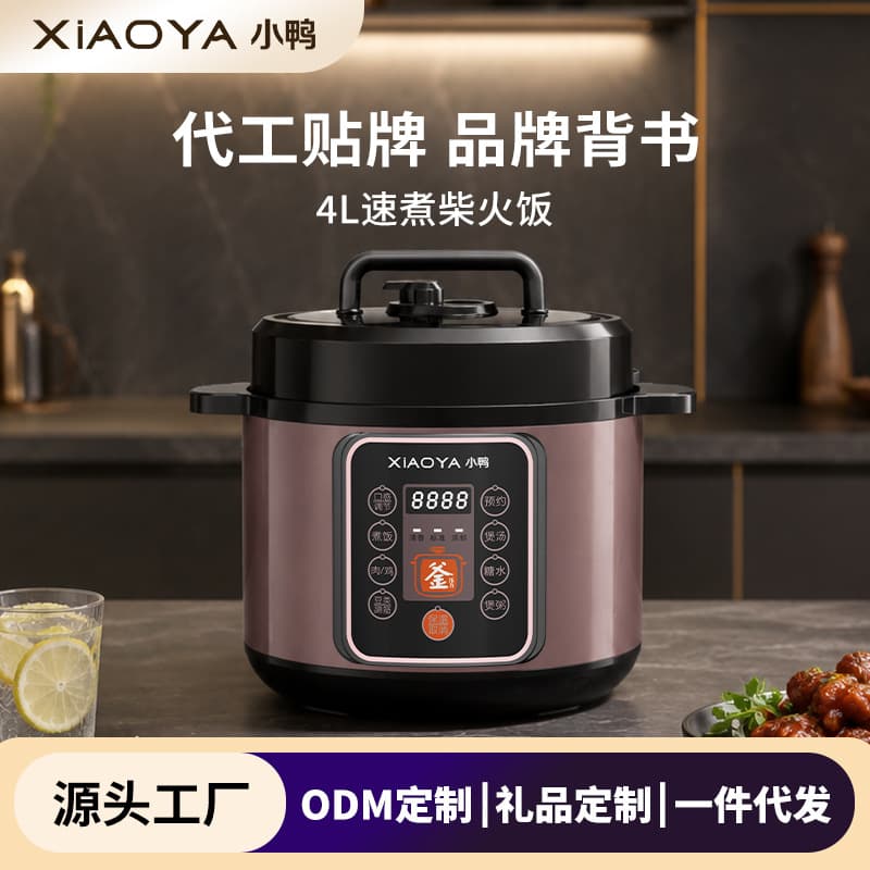 Changhong electric pressure cooker special pressure cooker rice cooker multifunctional smart mini rice cooker high power voltage cooker