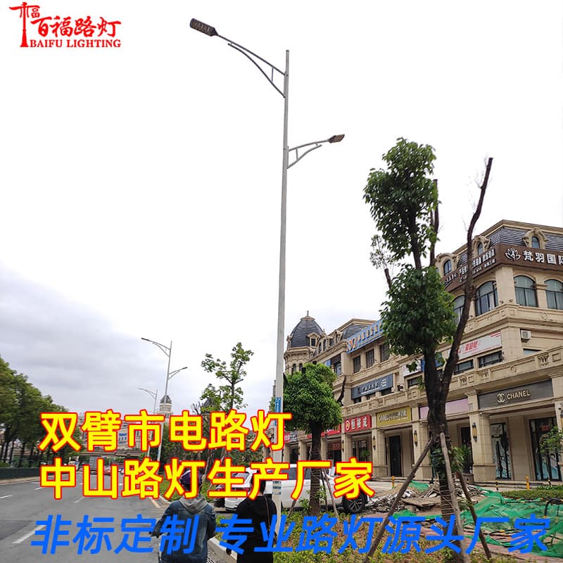 Custom Municipal Street Light Manufacturer Dual-Arm Landscape Street Light 8m 10m Municipal Engineering Road Light Mains-Powered Street Light