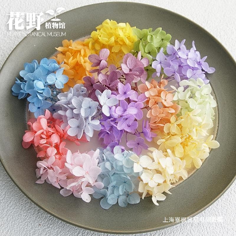 First-class flower wild preserved flower souvenir dry flower glue DIY material A wooden hydrangea small leaf Anna decoration with real leaves
