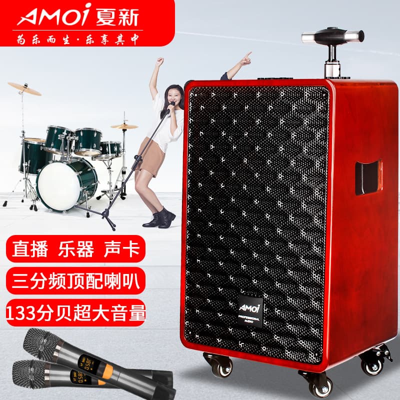 Xiaxin Musical Instruments Guitar Amplifier 120W Outdoor Karaoke Portable Speaker Multifunctional Folk Music Saxophone Subwoofer