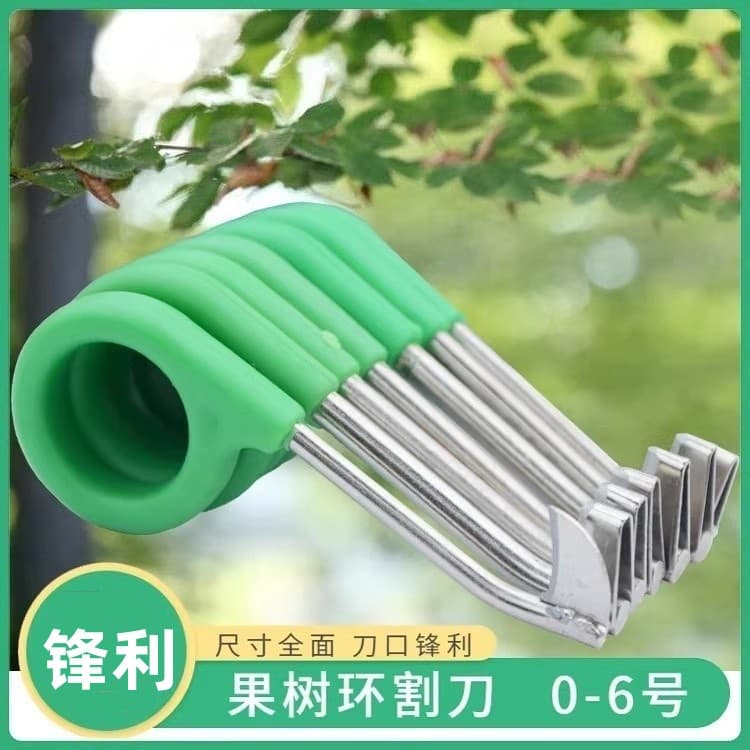 Girdling Tool for Pomelo, Citrus, Lychee, Grape, Peach Trees, Sizes 0 to 8