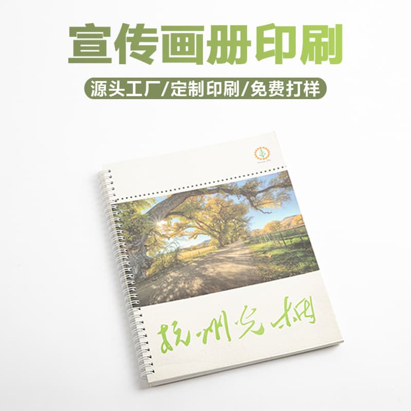 Album Printing Factory Booklets Flyers Brochures Custom Picture Books Product Corporate Design Source Color Pages