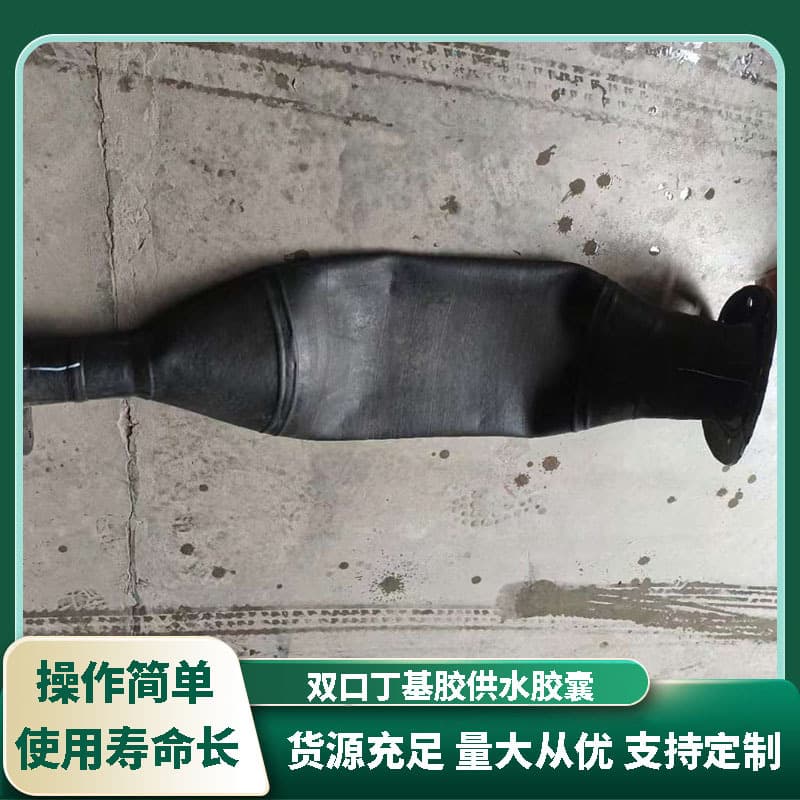 Butyl Rubber Spray Tank Rubber Inner Bladder, Pressure Tank Inner Mold Replacement, Diaphragm Tank Liner, Double-Port Water Supply Capsule