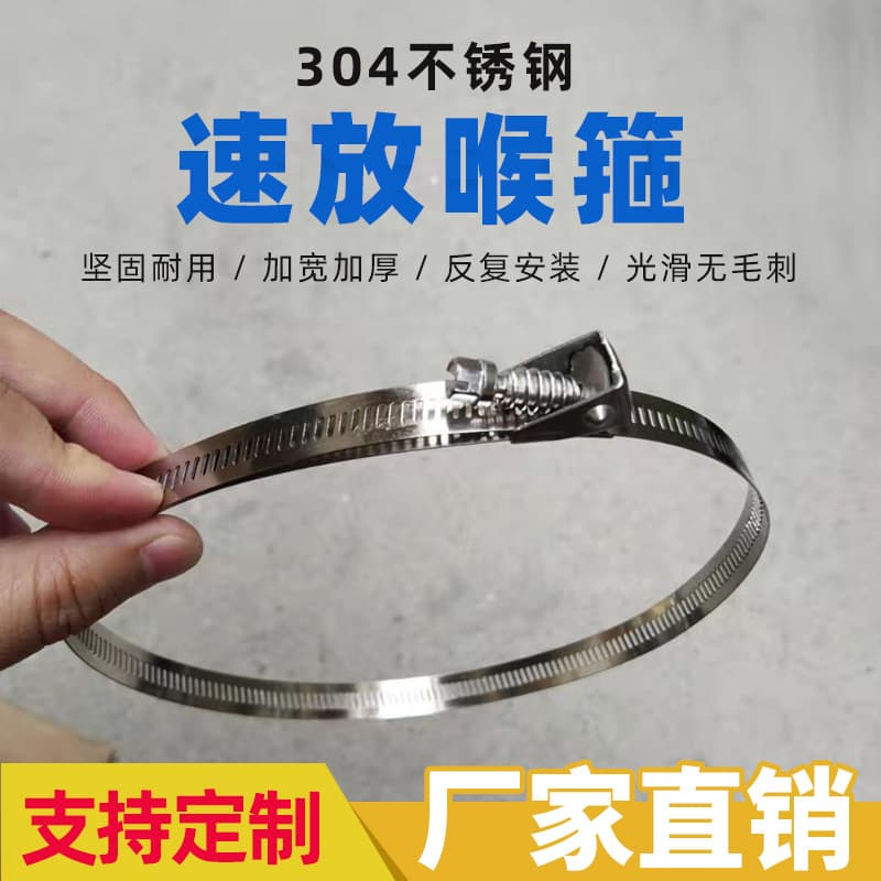 304 Buckle Stainless Steel Cable Tie, Toggle Type Hose Clamp, Clamp, Removable Loosening Buckle, Reinforced Wide Metal
