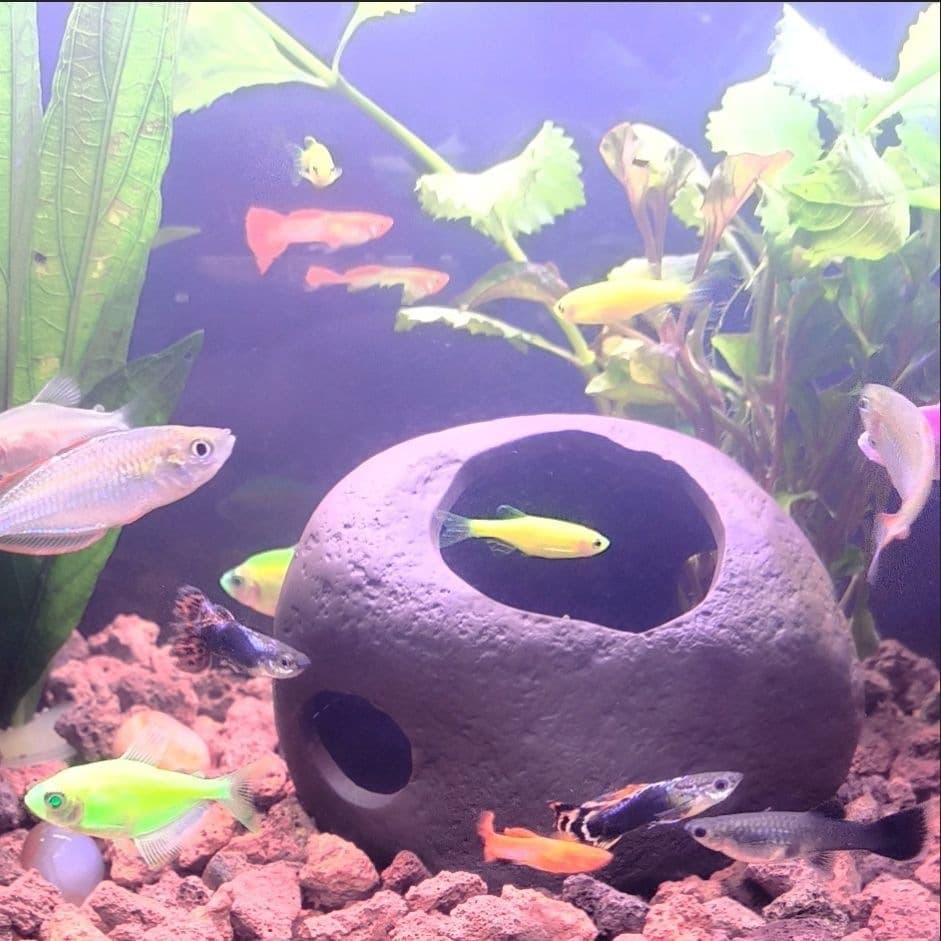 Stone Hideout Cave, Original Clay Breeding Cave, Cichlid Breeding Pot, Shrimp Cave, Parrot Fish Cave, Alien Stone Aquarium Decoration House
