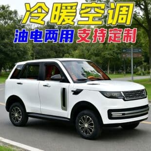 Four-wheel electric vehicle for home use, adult mobility scooter, fully enclosed, new energy, dual fuel and electric, new model electric vehicle