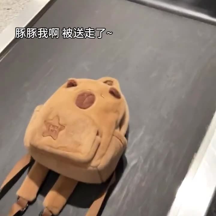Cute Large Capacity Water Vole Plush Backpack New Hot Sale Of The Season Double Shoulder Bag Teddy Bear Bookbag Neutral Minimalist