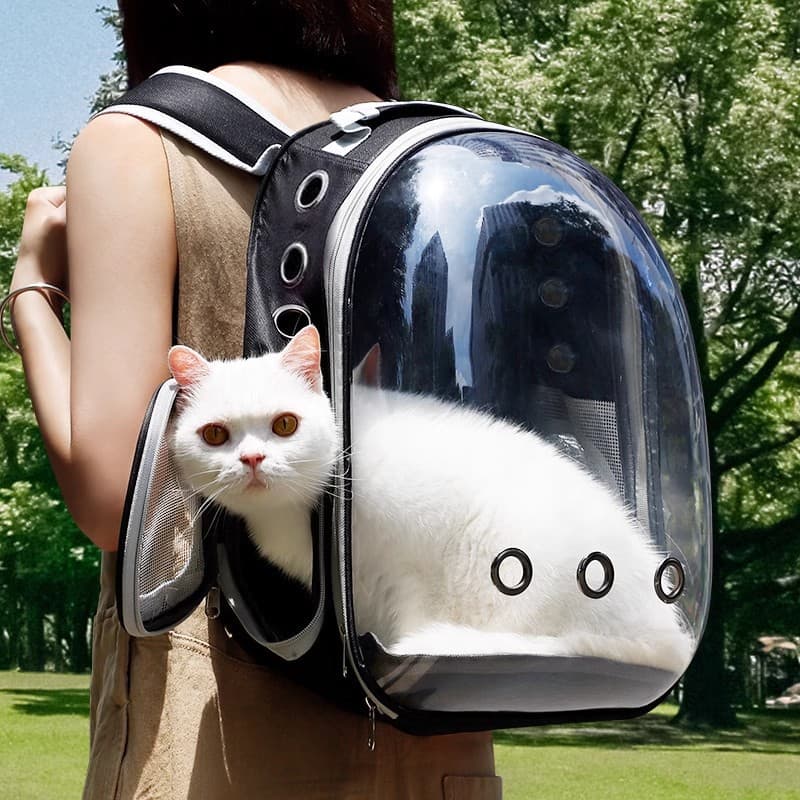 Cat Carrier Backpack, Convenient Double-Shoulder Travel Backpack for Cats and Small Dogs, Portable Outdoor Bag