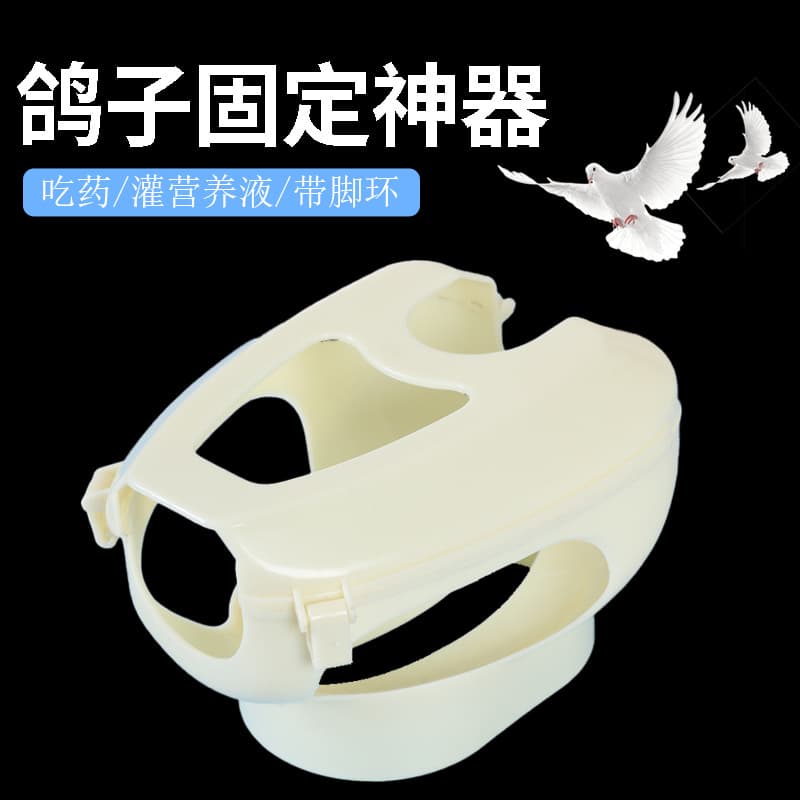 Pigeon Supplies Pigeon Equipment Holder Box for Fixing, Pigeon Medicine Feeder, Pigeon Eye Viewing, Racing Pigeon Auxiliary Liquid Dispenser, Pigeon Equipment with Free Shipping