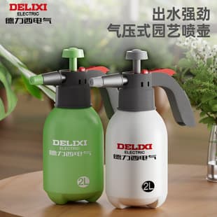 Delixi Electric Spray Bottle 2L Household High-Pressure Fine Mist Watering Can for Plants, Cleaning, and Household Use, Pneumatic Sprayer