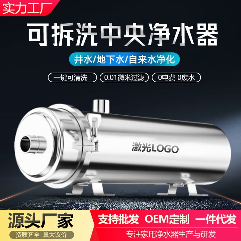 Whole House Central Water Purifier for Home Use, High Flow Direct Drinking Water Purifier for Rural Well and Tap Water, Stainless Steel Filter