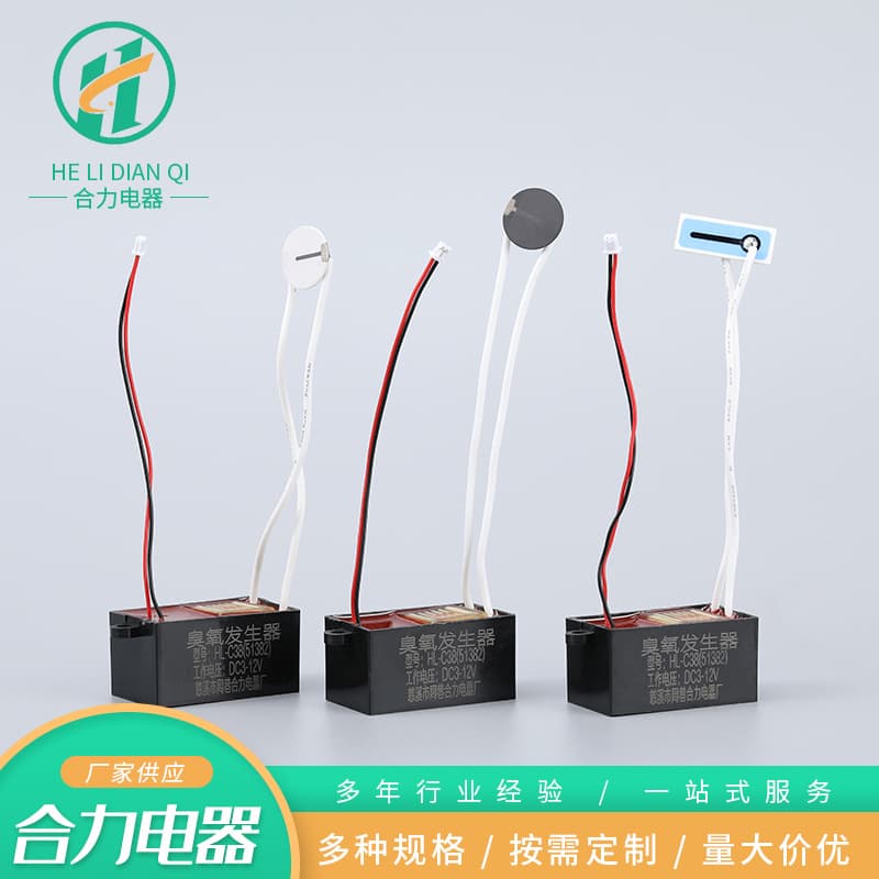 Supply Various Specifications High-Efficiency Ozone Generator Module Pet Air Purification Deodorizer