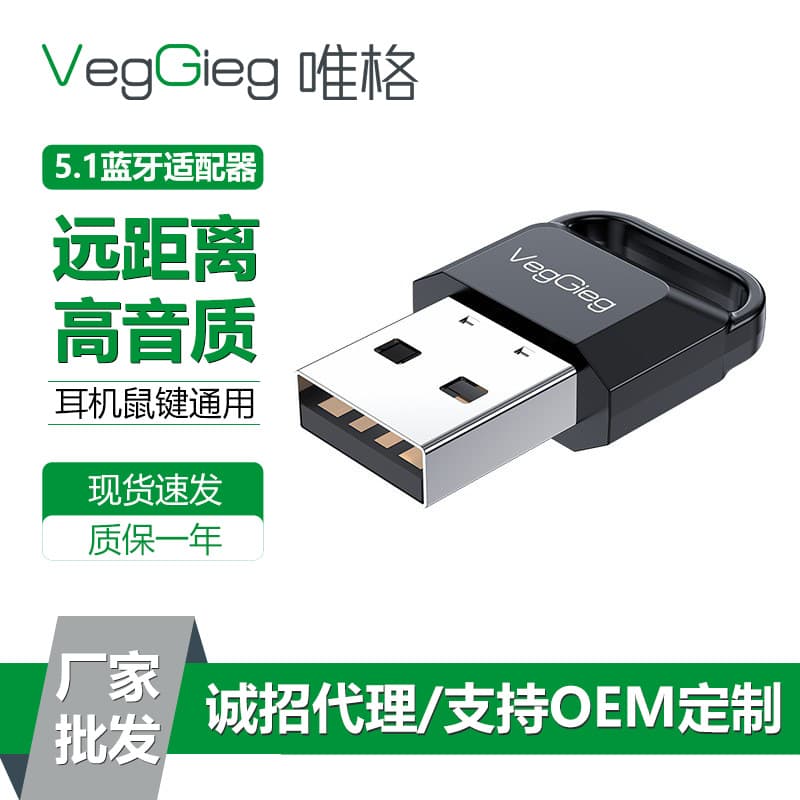 V-GO USB Bluetooth Adapter 5.1 for Desktop PC, Headset, Speaker, Mouse, Keyboard Wireless Receiver Transmitter 5.0