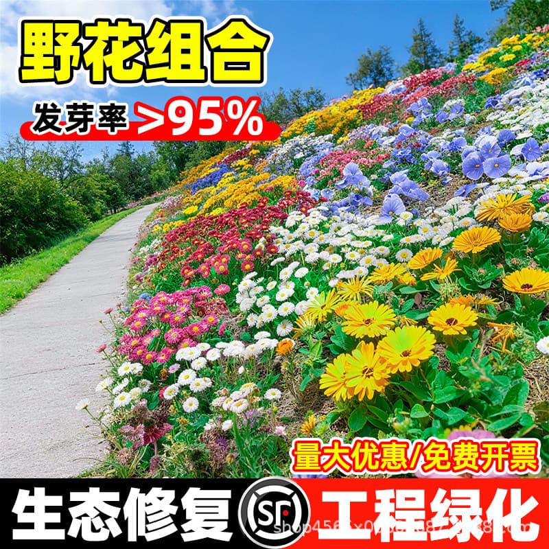 Wildflower Mix Seeds for All Seasons, Sunflower, Low-Growing Flower Seeds for Outdoor Garden, Cosmos Seeds