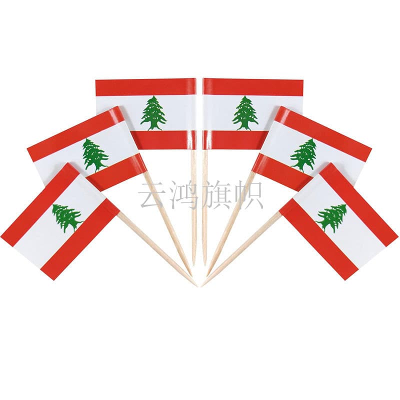 Lebanese Toothpick Flag Fruit Cake Burger Insert Toothpick Flag of Various Countries Toothpick Flag Cross-Border Amazon Supply Spot